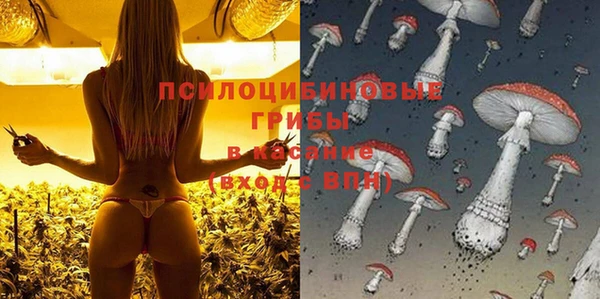 меф Ладушкин