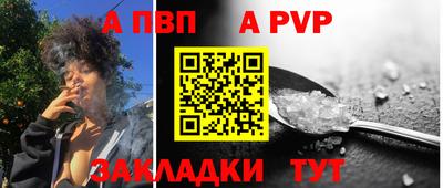 кокс Гатчина