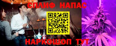 кокс Гатчина