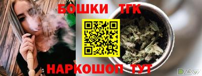 кокс Гатчина