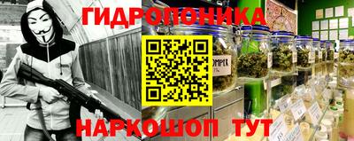 эйфоретик Будённовск