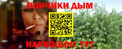тгк Гай