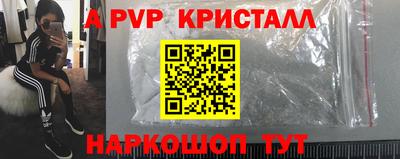 кокс Гатчина