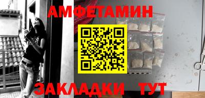 кокс Гатчина