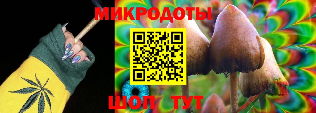 Псилоцибиновые грибы GOLDEN TEACHER Кемерово